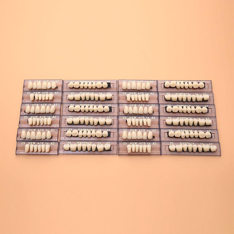 Модель зубного протеза из синтетического полимера